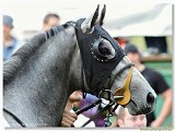 Saint Leger Charvt 