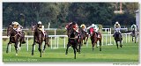Saint Leger Charvt 