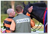 Saint Leger Charvt 
