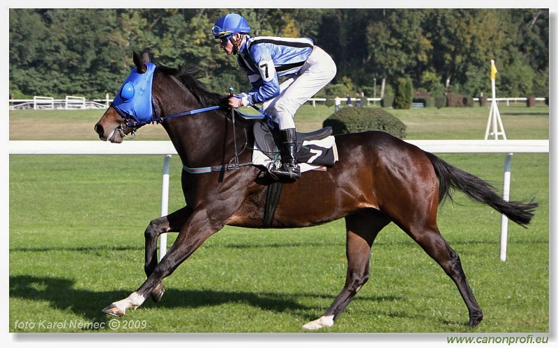 Bratislava - 25. oktbra 2009 