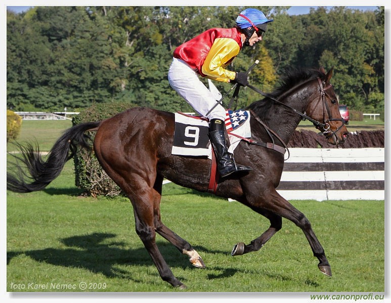 Bratislava - 25. oktbra 2009 
