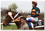 Hendikep QUITE REGALA - YPSILLON KING - Drozda Frantiek  