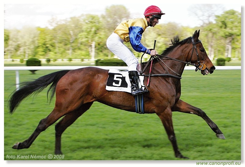 Bratislava - 20. aprla 2008