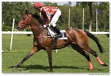ALAIN - Srnec Martin 