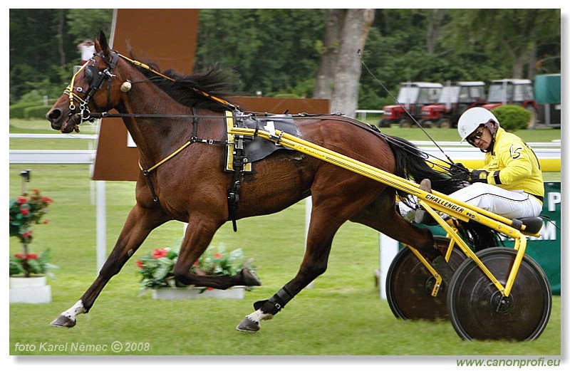 Bratislava - 18. mja 2008