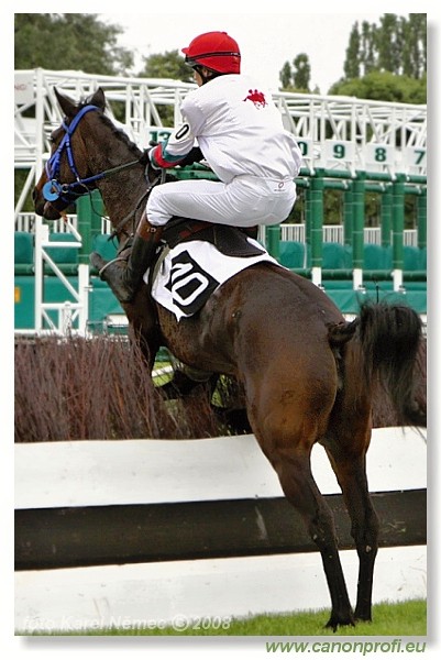 Bratislava - 18. mja 2008