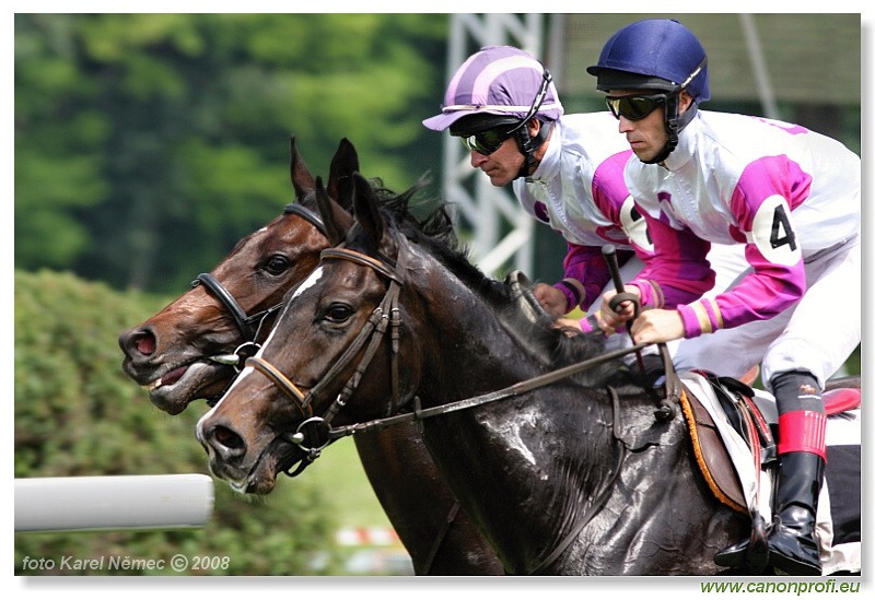 Bratislava - 1. jna 2008