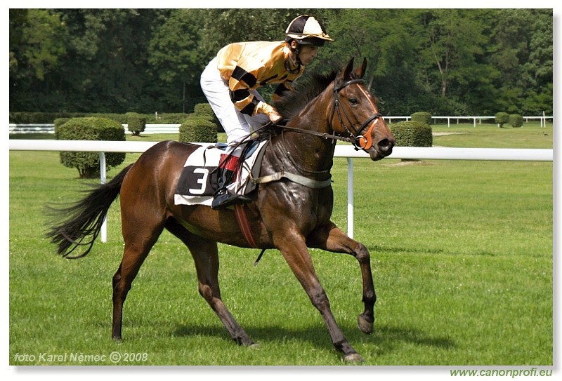 Bratislava - 1. jna 2008