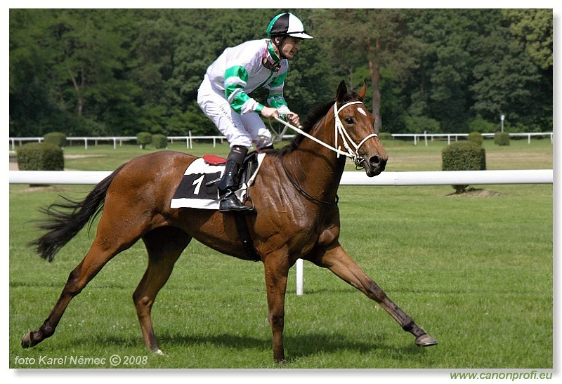Bratislava - 1. jna 2008