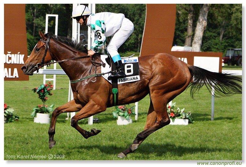 Bratislava - 1. jna 2008