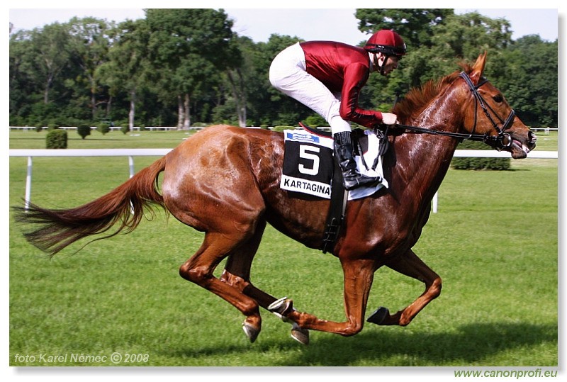 Bratislava - 1. jna 2008