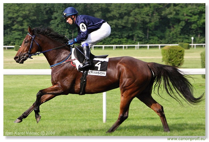 Bratislava - 1. jna 2008