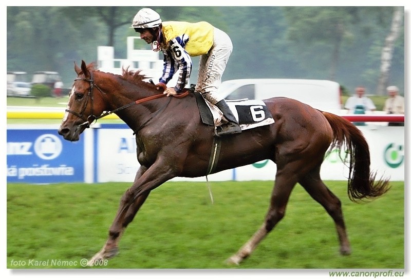 Bratislava - 1. jna 2008