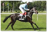 ALLEZ - Minak 2 Ferdinand 