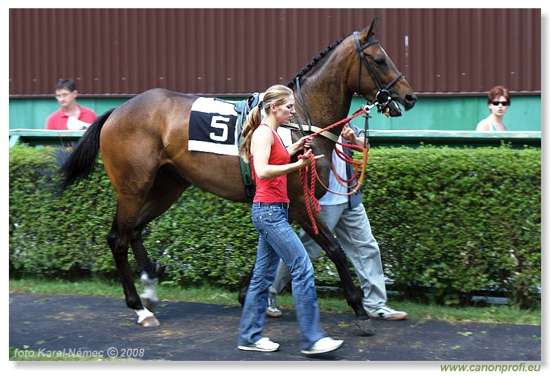 Bratislava - 22. jna 2008 