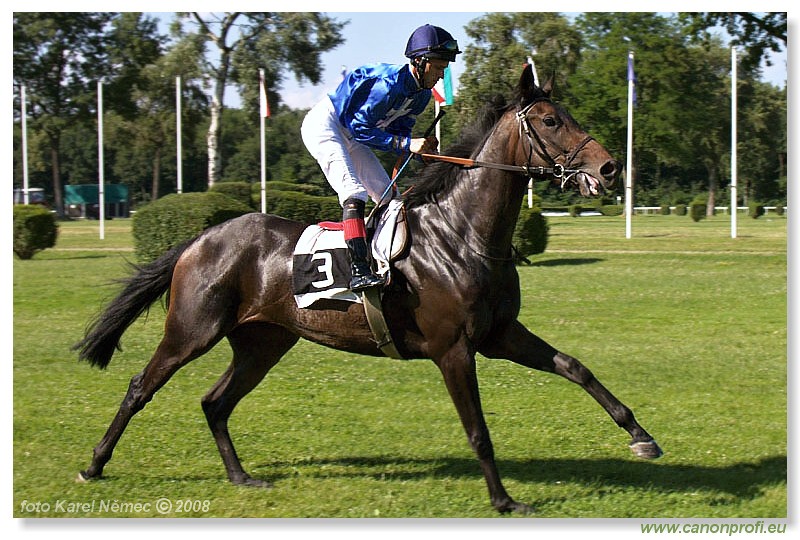 Bratislava - 29. jna 2008 