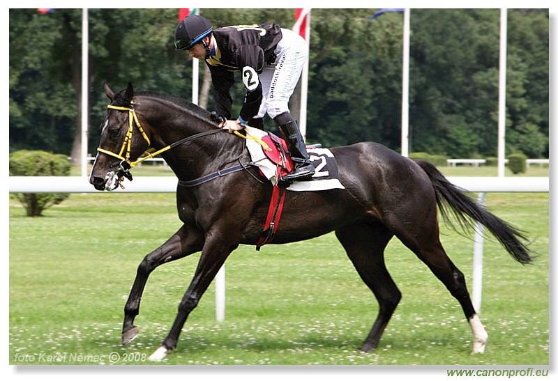 Bratislava - 13. 7. 2008 