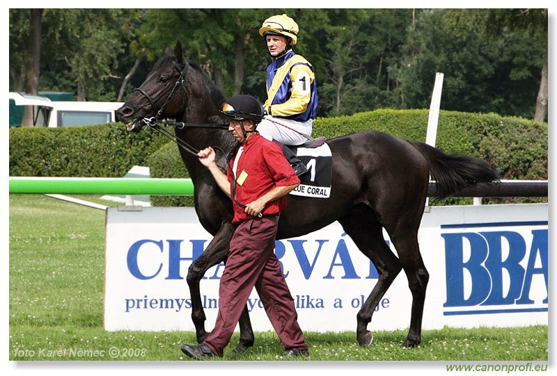Bratislava - 13. 7. 2008 