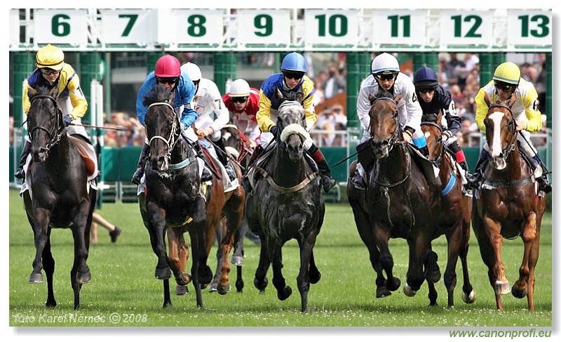 Bratislava - 13. 7. 2008 