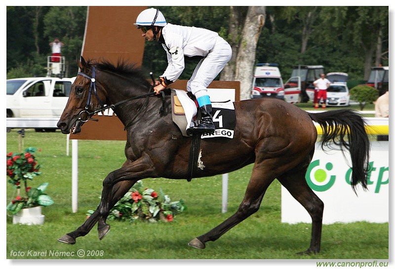 Bratislava - 13. 7. 2008 