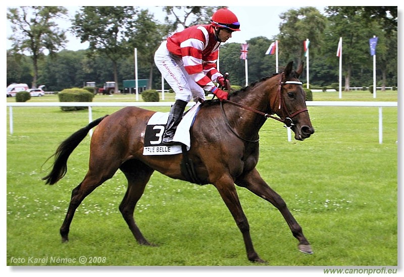 Bratislava - 13. 7. 2008 