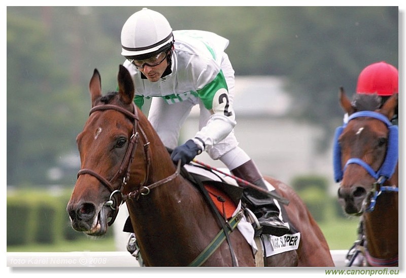 Bratislava - 13. jla 2008 