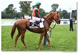 SALDENZAR - Srnec Martin 