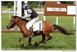 Pony I 