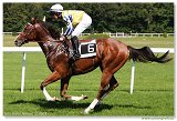 EASY TIGER - Mark-Anthony Giles 
