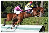 Vek starohjska steeplechase 