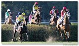 Vek starohjska steeplechase 