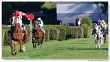Vek starohjska steeplechase 