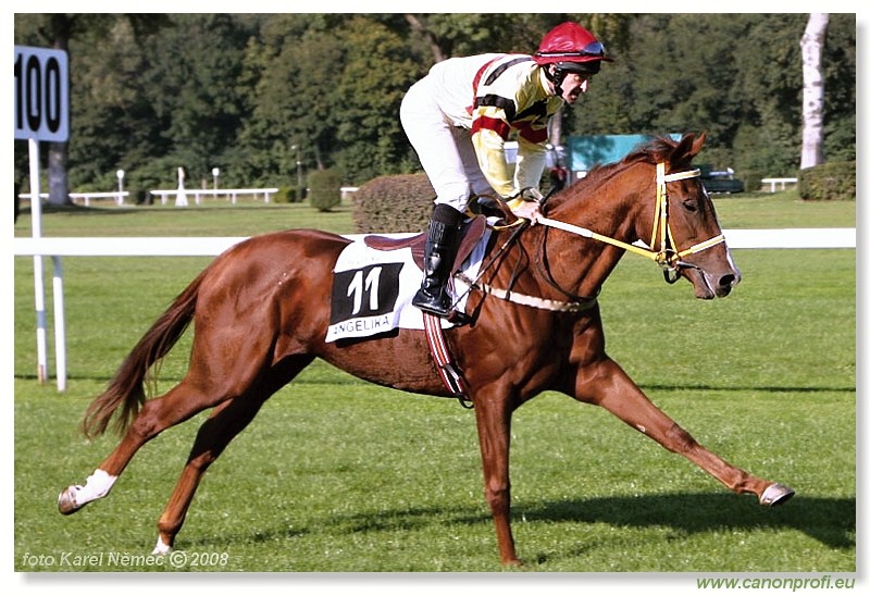 Bratislava - 28. septembra 2008 