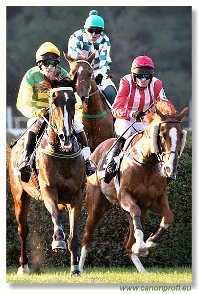 Bratislava - 28. septembra 2008 