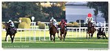 St. Leger 
