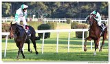 St. Leger 