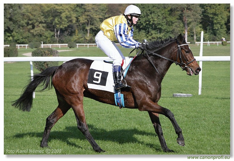 Bratislava - 19. oktobra 2008 