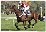CAVALRY CHARGE - Luk Matusk 