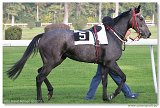 LABEAUME 