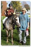 Pony I 