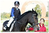 Pony II 