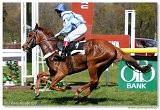 Handicap Quite Regala 