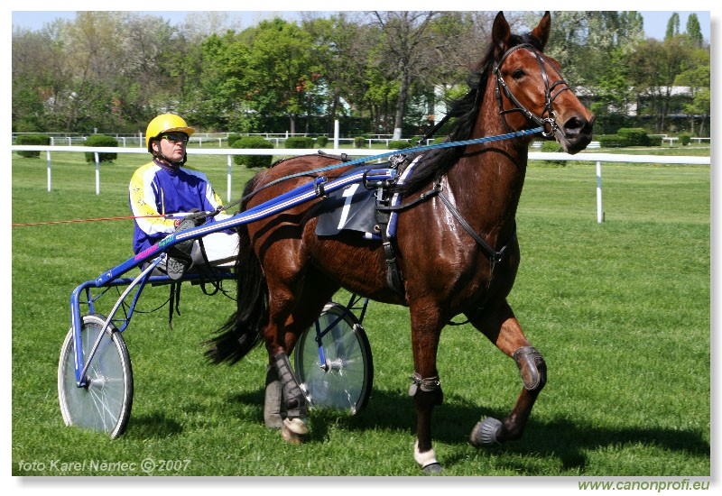 Bratislava - 15. aprla 2007