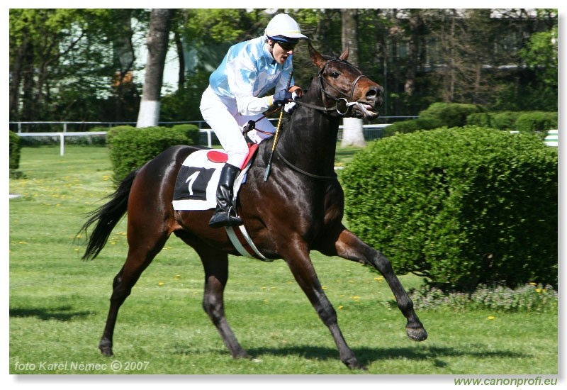 Bratislava - 15. aprla 2007