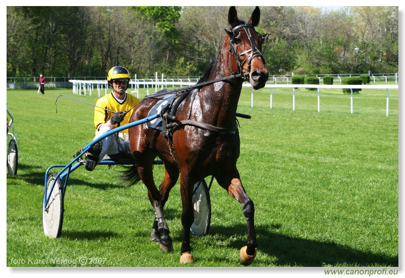 Bratislava - 15. aprla 2007