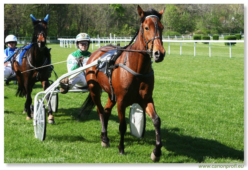 Bratislava - 15. aprla 2007