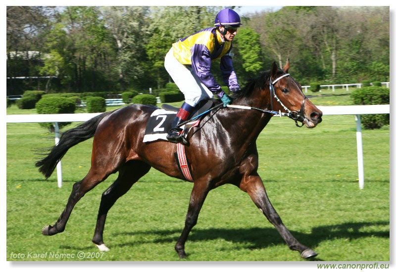 Bratislava - 15. aprla 2007