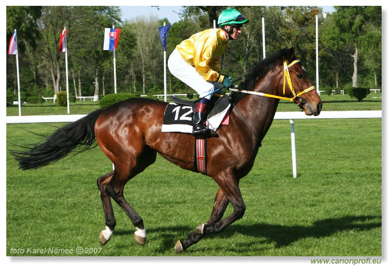 Bratislava - 15. aprla 2007
