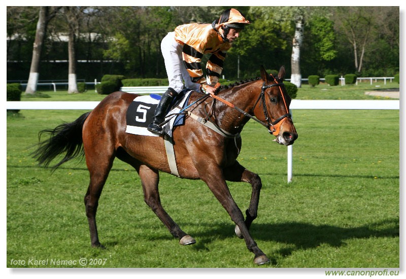 Bratislava - 15. aprla 2007
