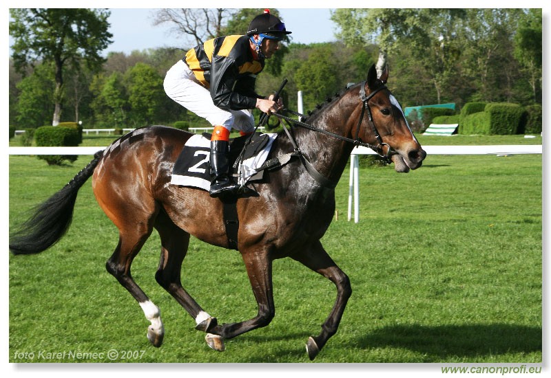 Bratislava - 15. aprla 2007